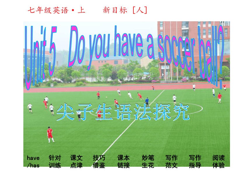 【尖子生学案】2016年秋人教版七年级英语上册课件：Unit 5 Do you have a soccer ball （共33张PPT）