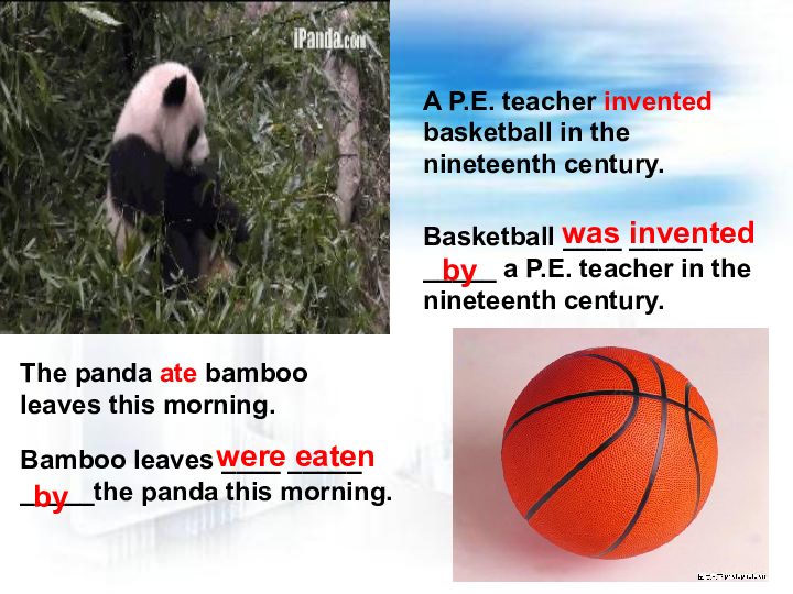 Unit 4 Amazing Science Topic 1 When was it invented  SectionA 课件（17张PPT）