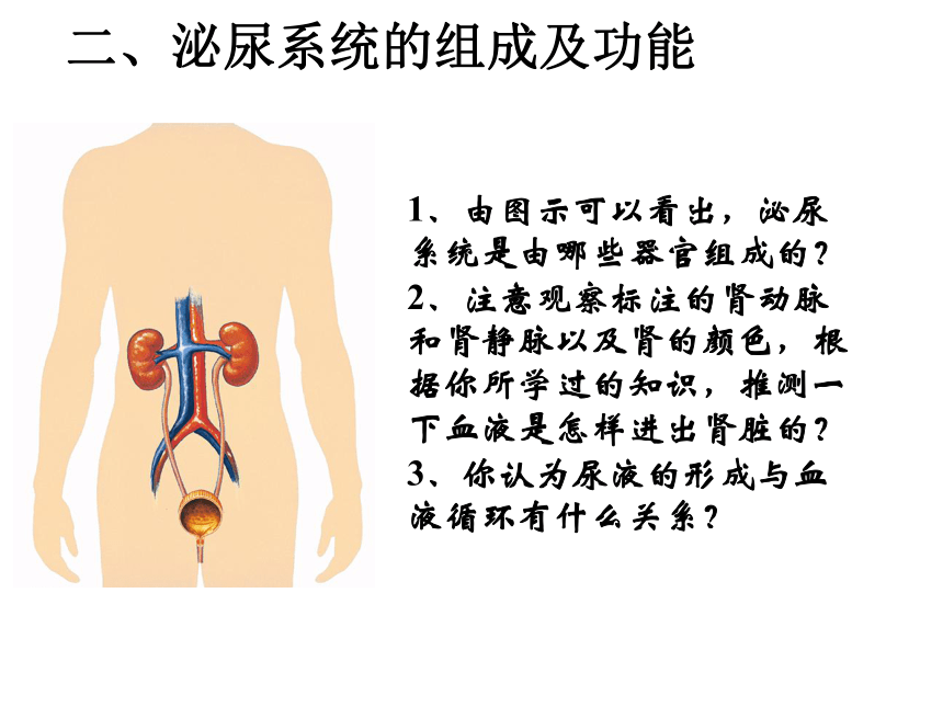 人教版七年级下册生物第五章 人体内废物的排出课件(共31张PPT)