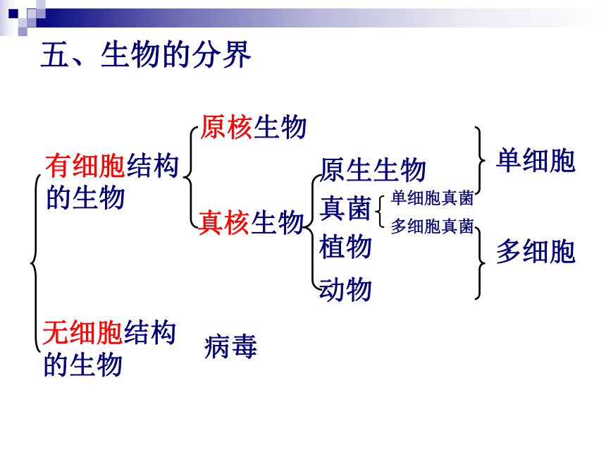 高中生物中图版必修一复习课件