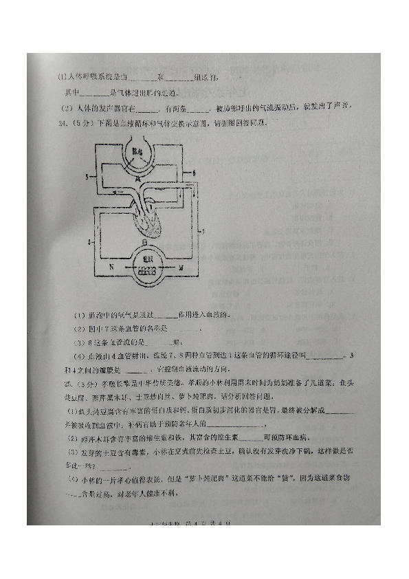 吉林省伊通满族自治县2018-2019学年七年级下学期期末考试生物试题（图片版）