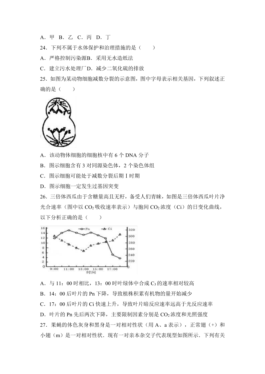 浙江省9+1高中联盟2017届高三（上）期中生物试卷（解析版）