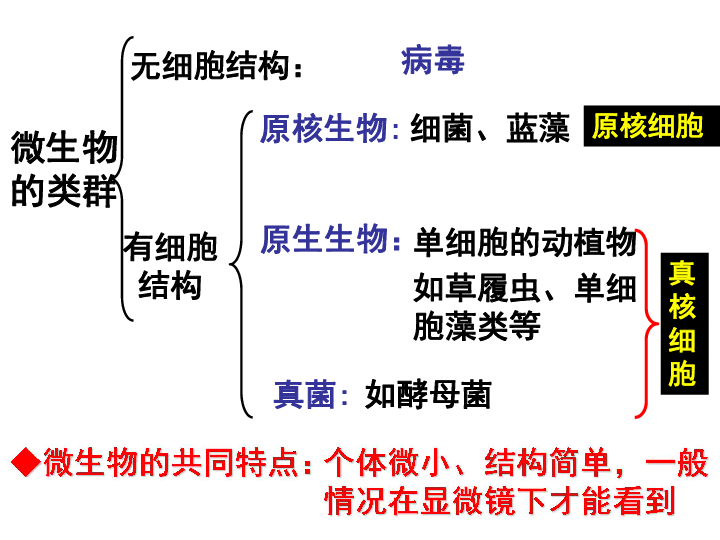 人教版高中生物选修一专题二课题1微生物的实验室培养 课件 （47张PPT）