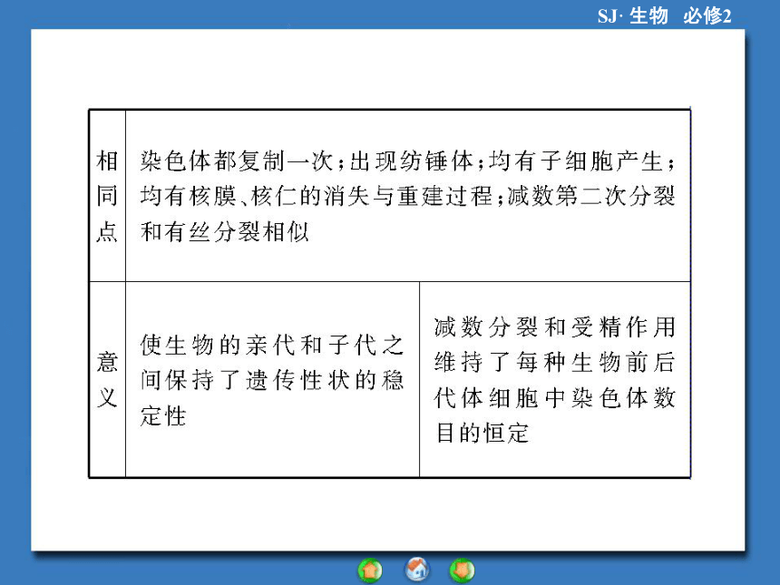 【课堂新坐标，同步备课参考】2013-2014学年高中生物（苏教版）必修2课件：专题归纳课1减数分裂和有性生殖（共38张PPT）