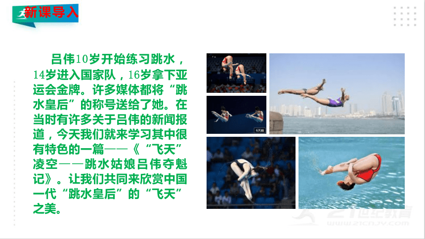 跳水运动员吕伟图片图片