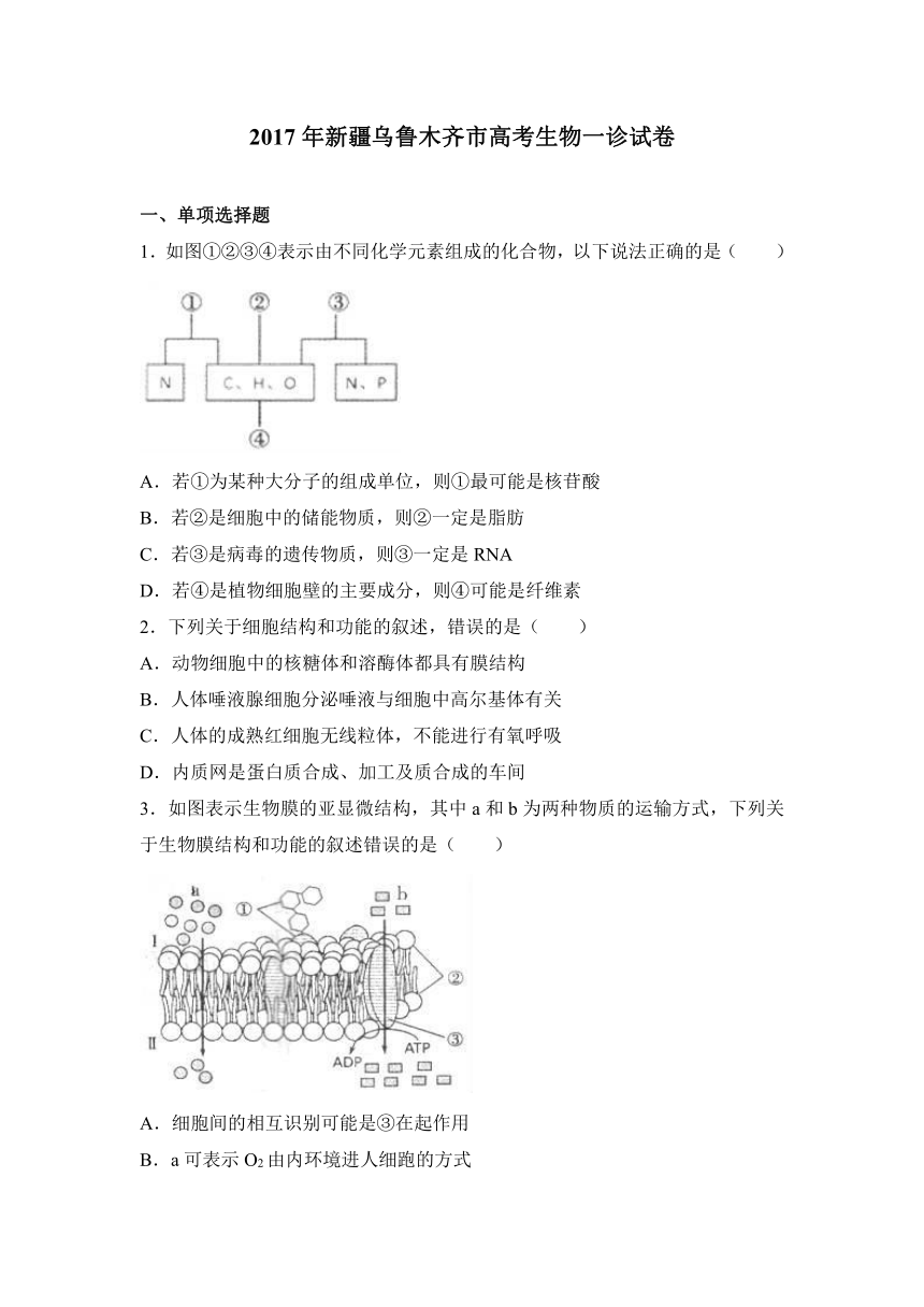 2017年新疆乌鲁木齐市高考生物一诊试卷（解析版）