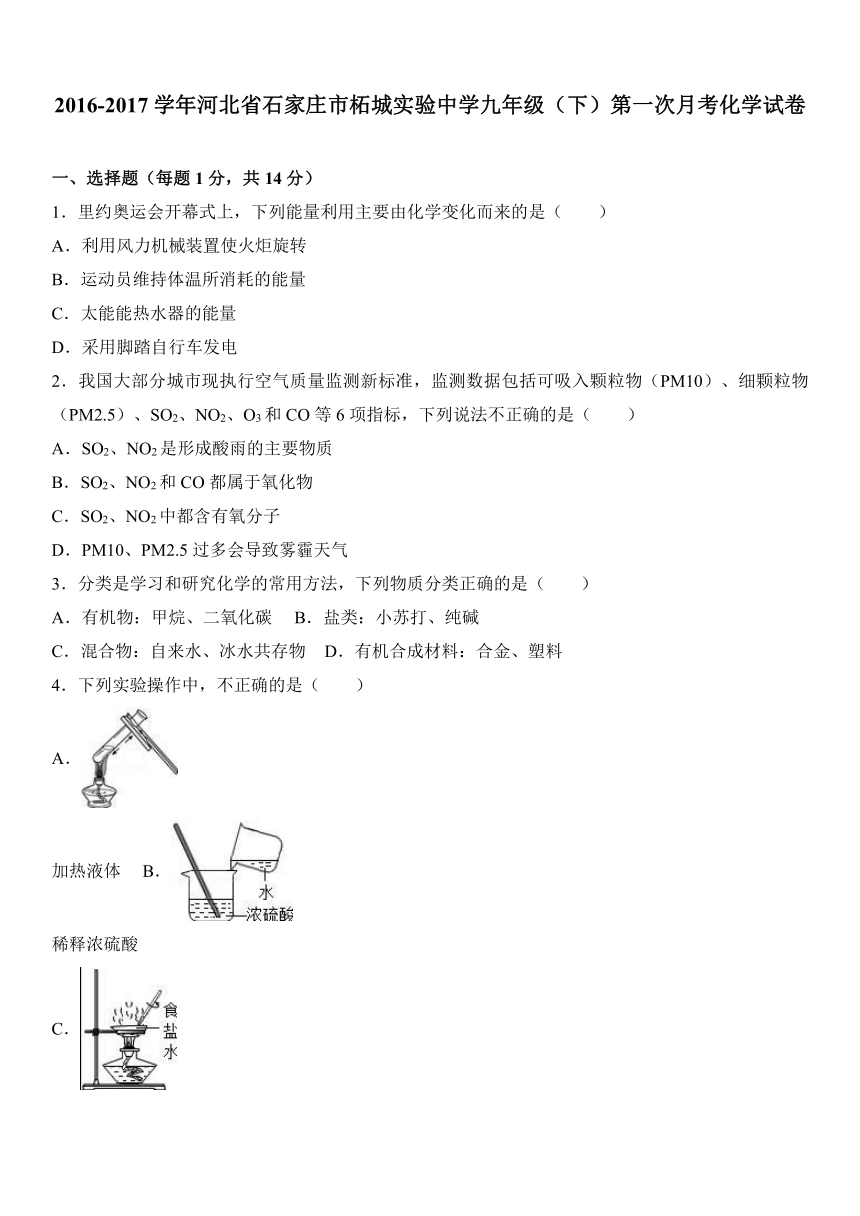 河北省石家庄市柘城实验中学2016-2017学年九年级（下）第一次月考化学试卷（解析版）