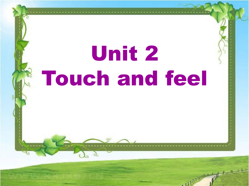 unit 2 Touch and feel