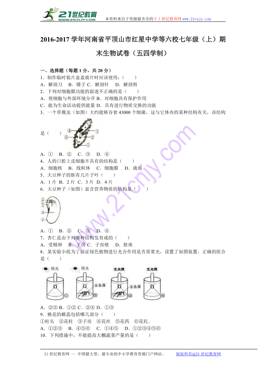 河南省平顶山市红星中学等六校2016-2017学年七年级（上）期末生物试卷（五四学制）（解析版）