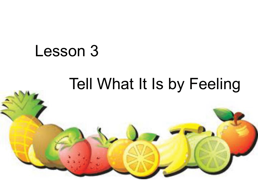 Lesson 3 Tell what it is by feeling 课件