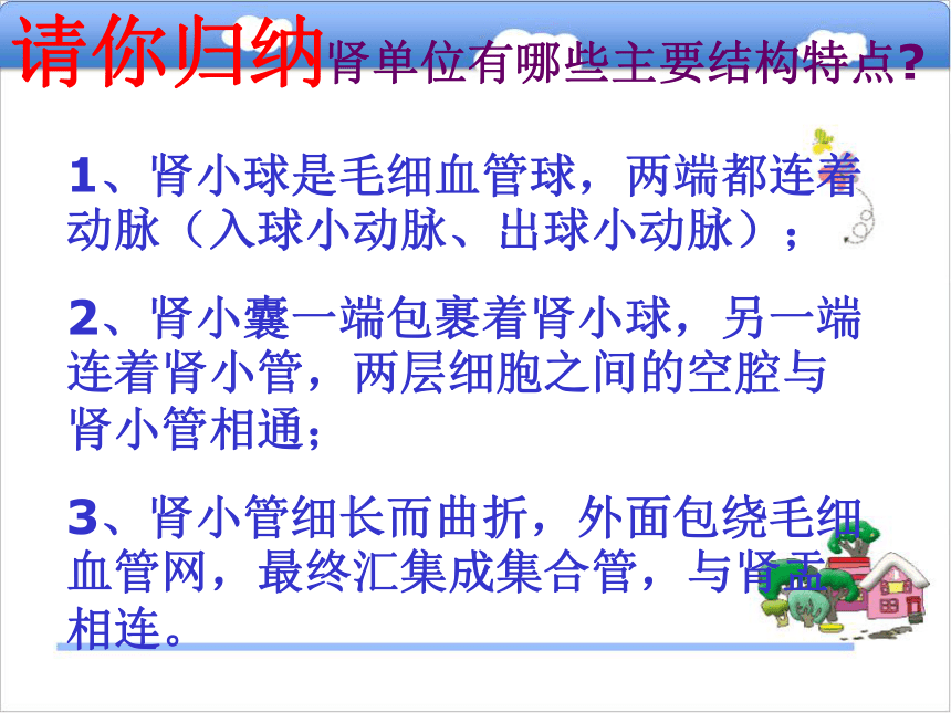 七年級生物下冊第三章第二節排洩第二課時課件18張ppt冀教版