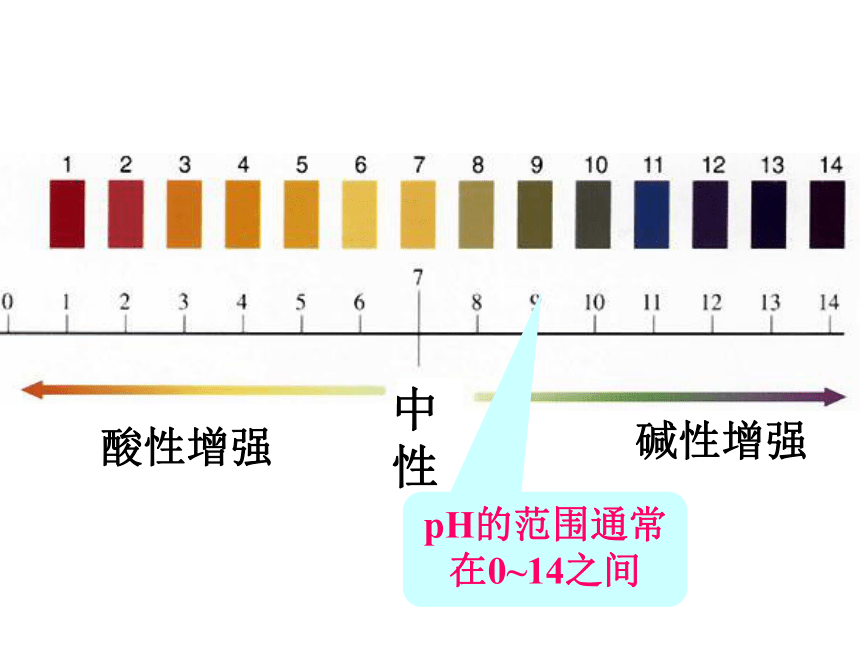 人教版九年级化学下册10.2.2溶液的酸碱度 课件(共29张PPT)