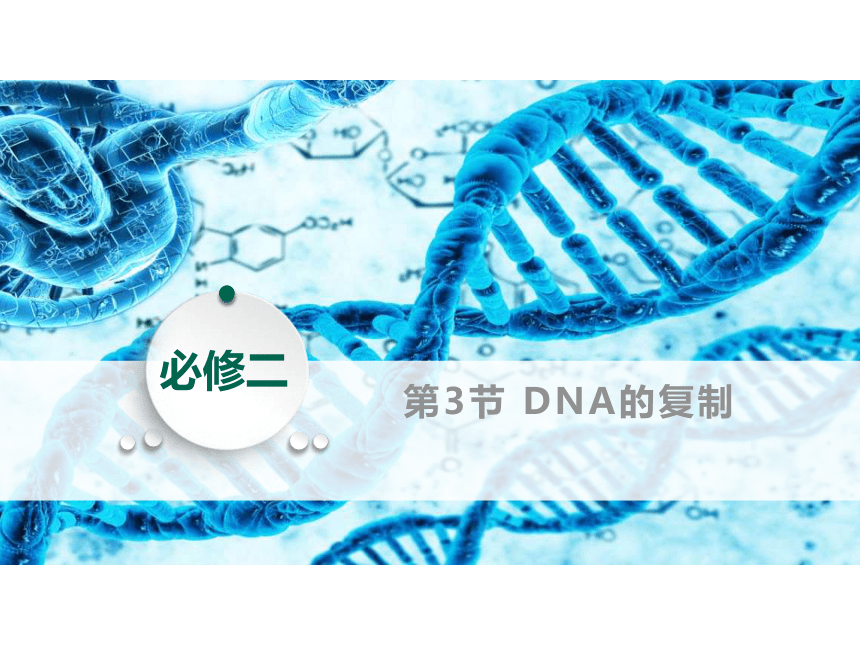 2020-2021学年高一生物人教版必修二3.3 DNA的复制 课件（62张ppt）