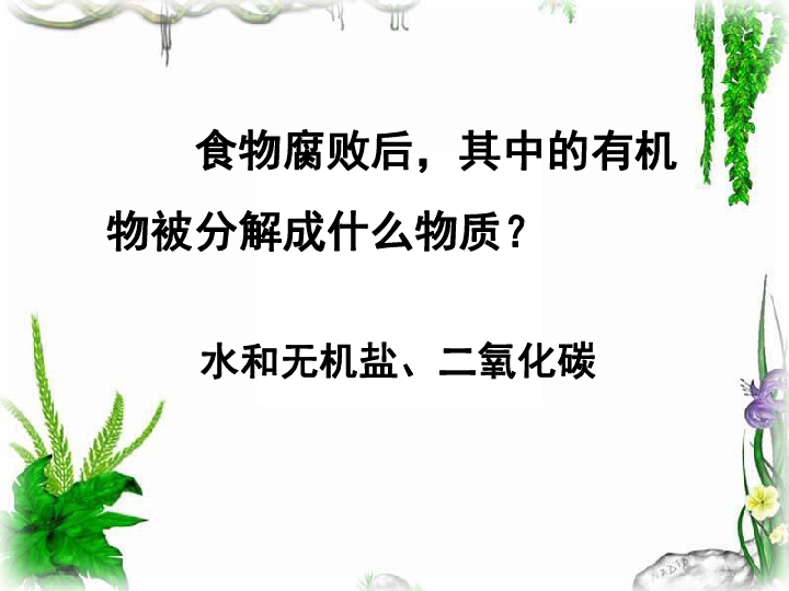 细菌和真菌在自然界中的作用课件(共27张PPT)