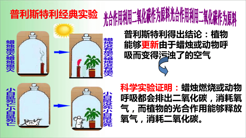 2021——2022学年人教版七年级生物上册3.5.1 光合作用吸收二氧化碳释放氧气 课件 (共20张PPT)