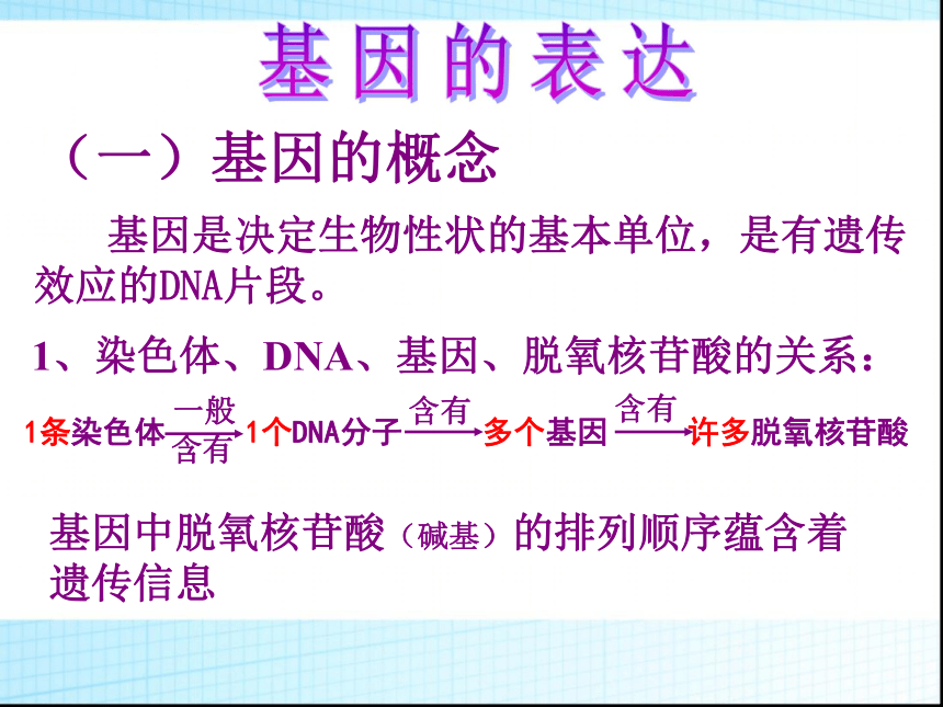 高中生物人教版必修二第四章第1节 基因指导蛋白质的合成  课件（61张PPT）