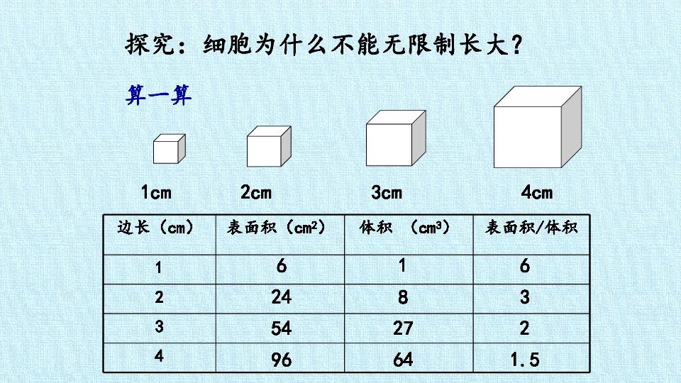 鲁科版（五四学制）六年级生物上册：第二单元  第三章 细胞怎样构成生物体  复习课件（共30张PPT）