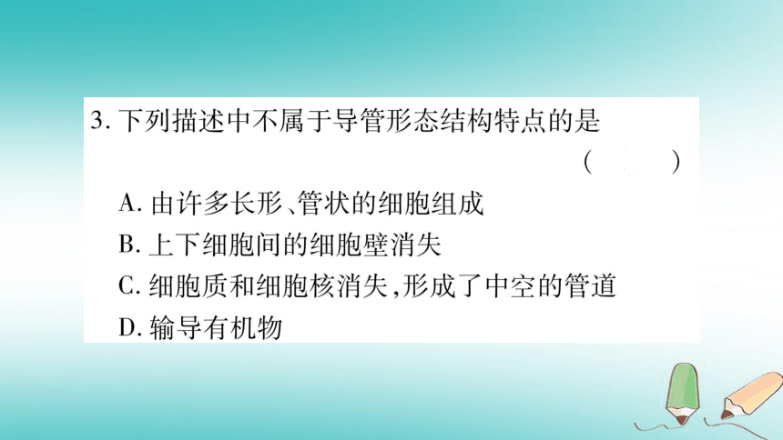 2018秋七年级生物上册第3单元第3章绿色植物与生物圈的水循环习题课件（25张PPT）