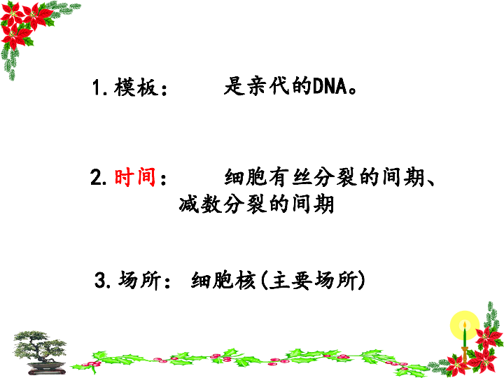 高中生物人教版必修二3.3 DNA分子的复制 课件 (28张PPT)