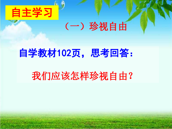 7.2自由平等的追求 课件(共30张PPT)