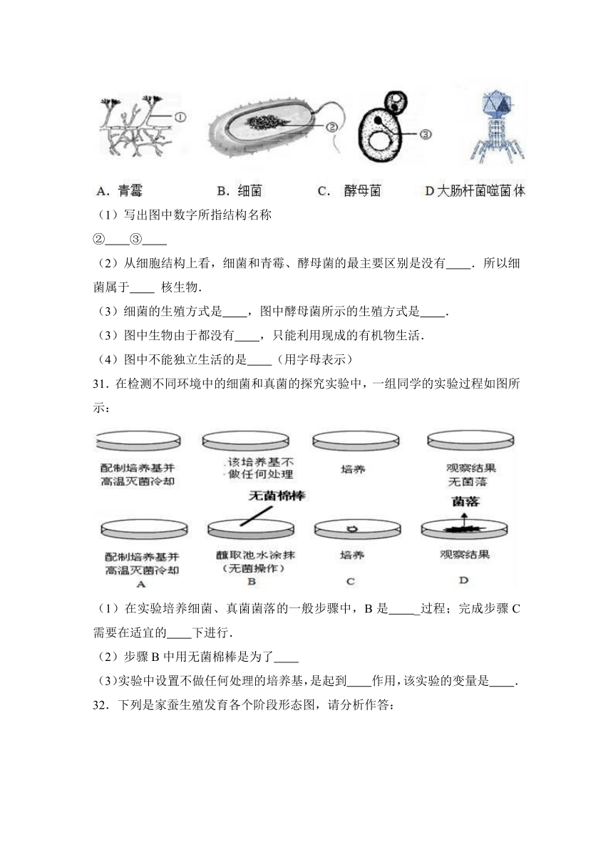 内蒙古呼伦贝尔市海拉尔区2016-2017学年八年级（上）期末生物试卷（解析版）