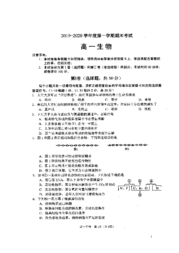 辽宁省锦州市2019-2020学年高一上学期期末考试生物试题 扫描版