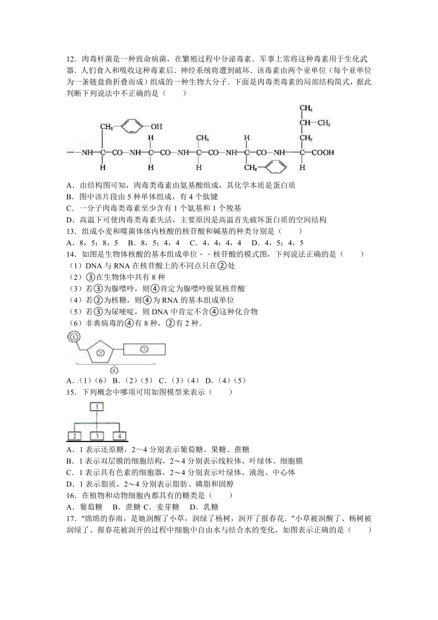 新疆兵团农二师华山中学2016-2017学年高一（上）期中生物试卷（解析版）