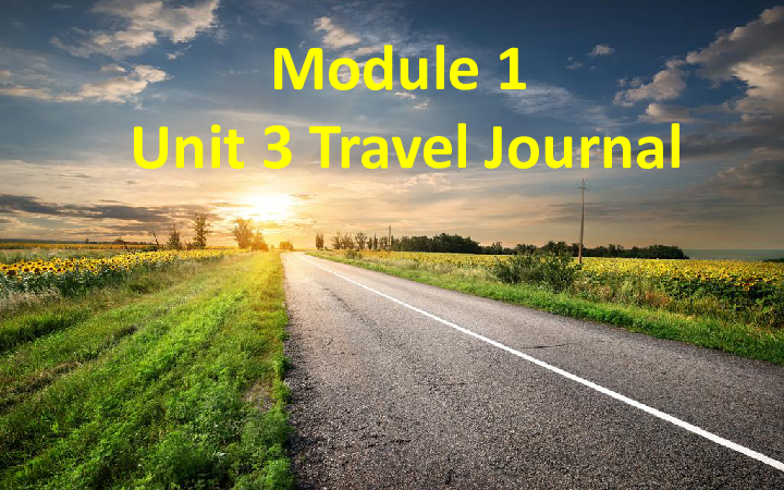 高中英语必修一unit 3 Travel journal reading 课件（31张）