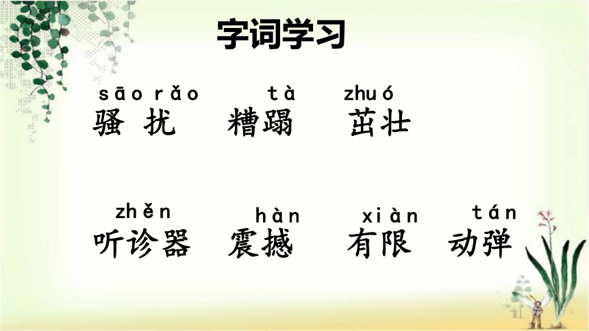 生命 生命(共26张PPT)