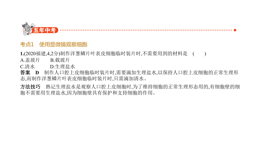 2021年生物中考复习全国通用 专题二　 生物体的结构层次课件（128张ppt）