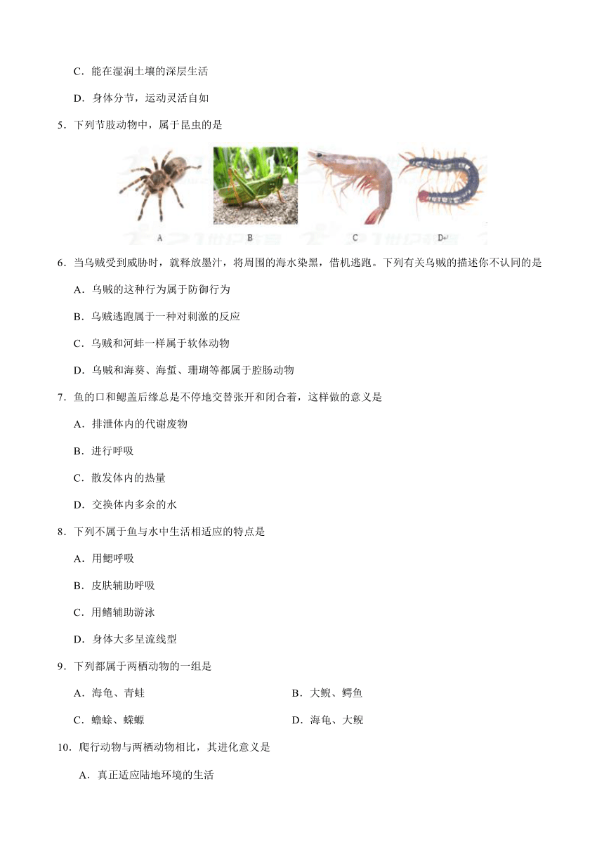 2017-2018学年八年级生物上学期期末考试原创模拟卷（湖南、湖北共用B卷）（带答案）