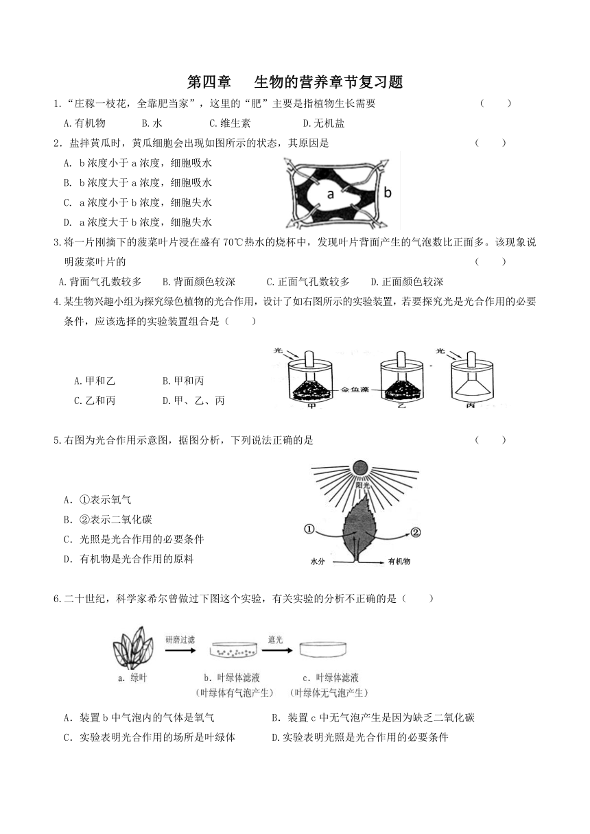 第四章生物的营养 章节复习题（无答案）