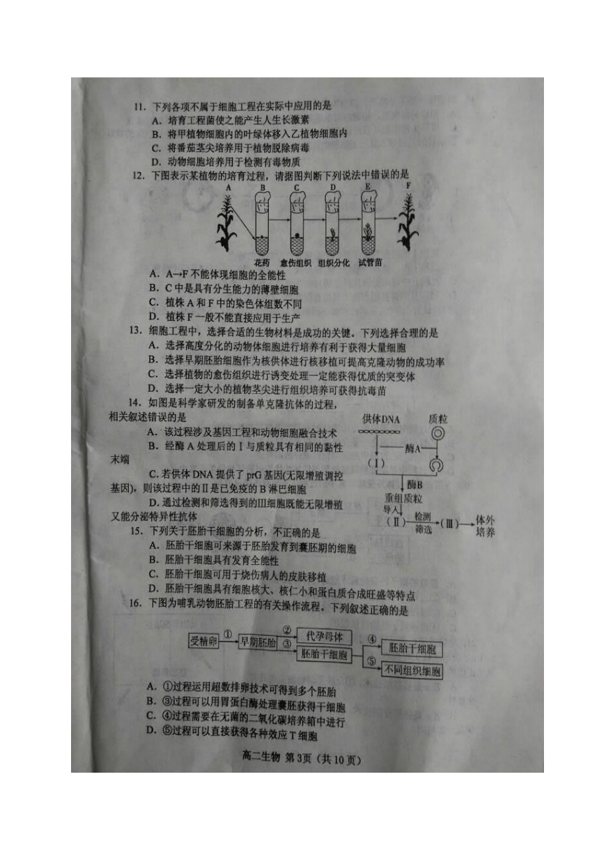 河南省南阳市2016_2017学年高二生物下学期期中质量评估试题（扫描版）