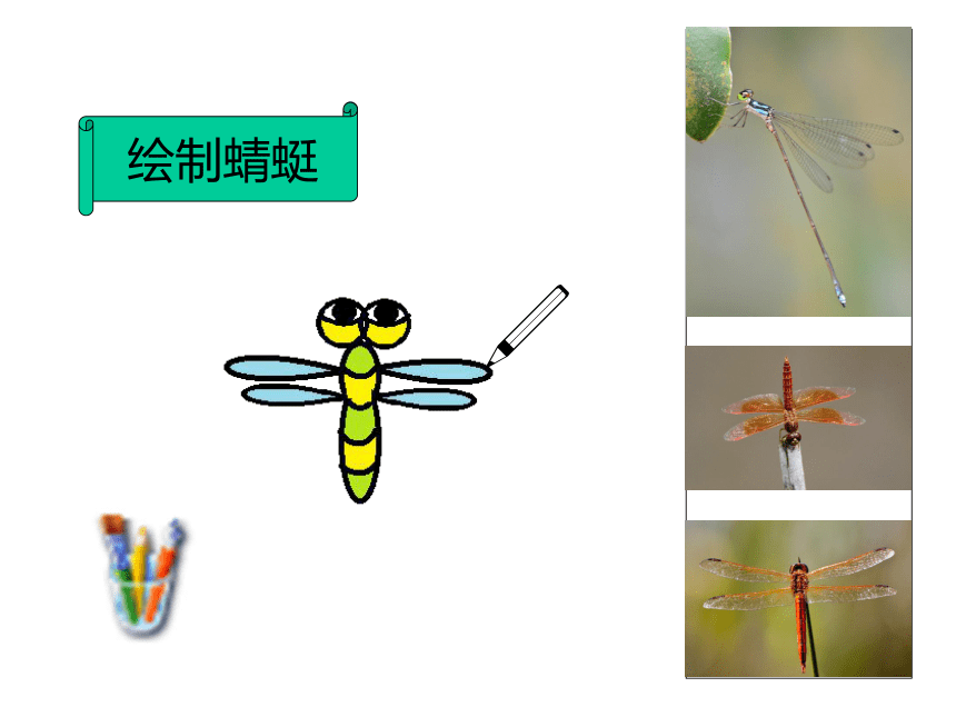 蜻蜓飞舞 课件 (2)