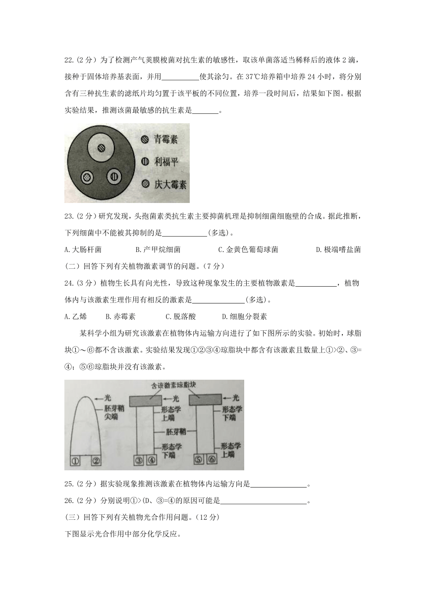 上海市黄浦区2017届高三下学期4月等级考调研测试生物试题