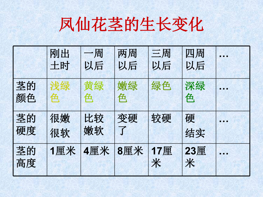 5茎越长越高 课件(27张PPT)