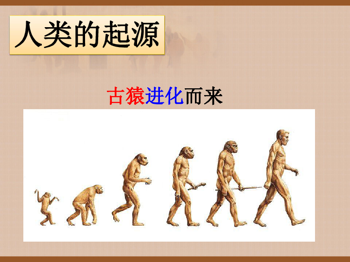 第1课 中国早期人类的代表——北京人 课件（28张）