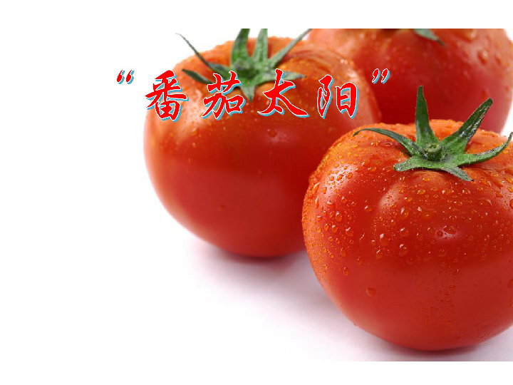 苏教版四年级下语文课件-12“番茄太阳” (共26张PPT)