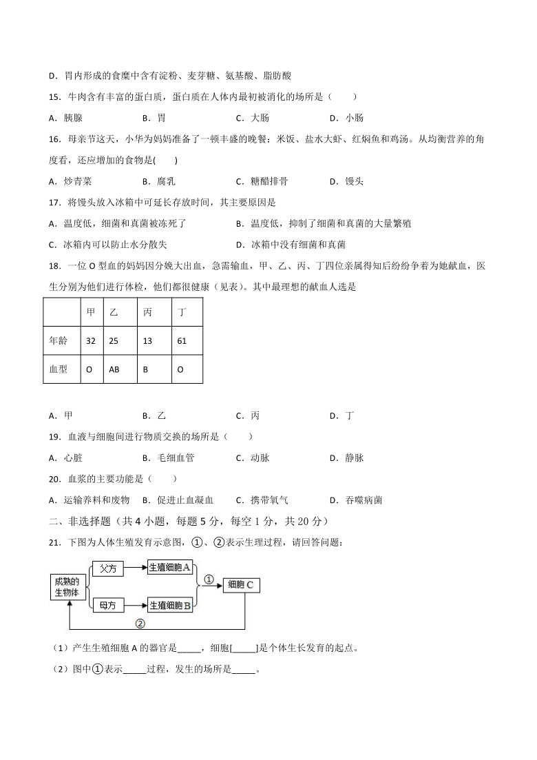 2020-2021学年七年级生物下学期期中测试卷（安徽专用）02（WORD版，含答案与解析）