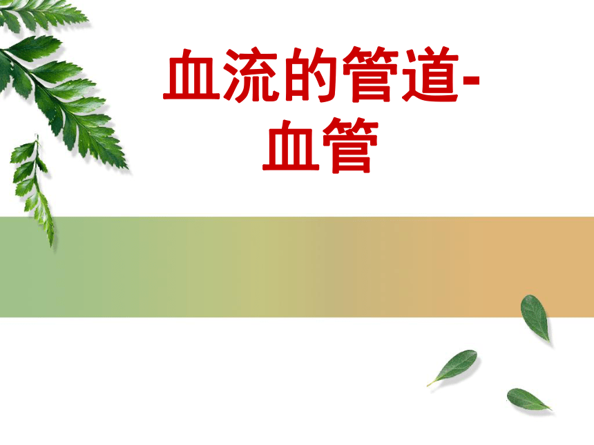 课件预览