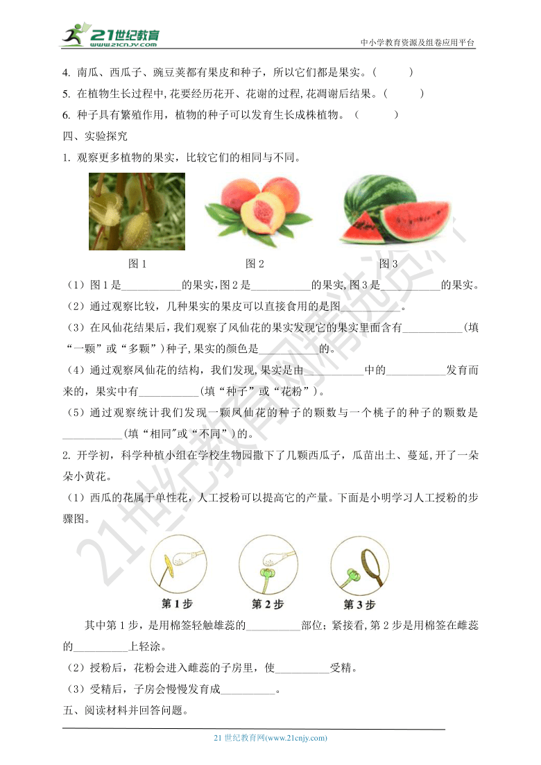 教科版四年级科学下册1.6 果实和种子 同步练习（含答案）