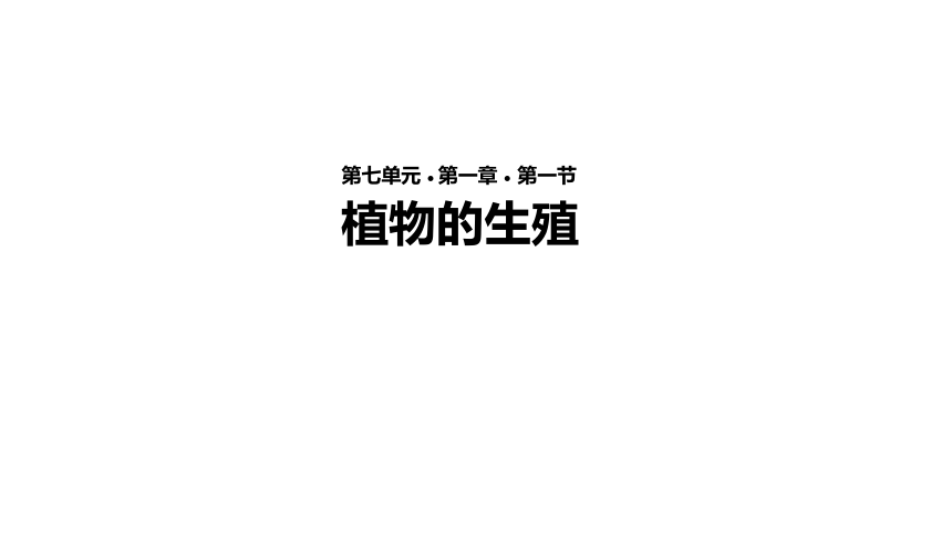 人教版八年级生物下册7.1.1《植物的生殖》课件 (共27张PPT)