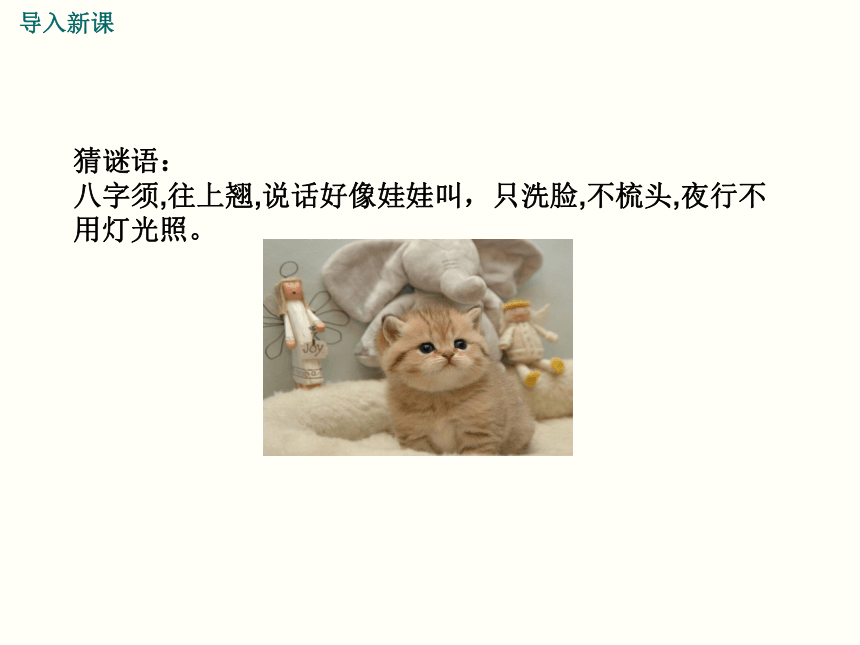2016年秋人教版语文七年级上册精品课件：17.猫