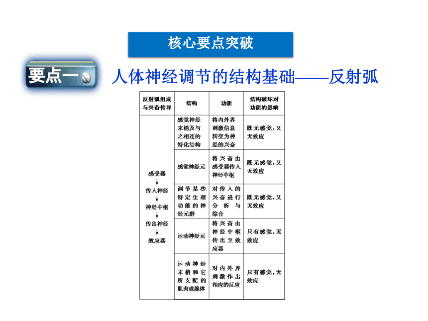 苏教版高中生物必修三第2章 第2节  第1课时人体神经调节的结构基础和调节过程、人脑的高级功能（55张）