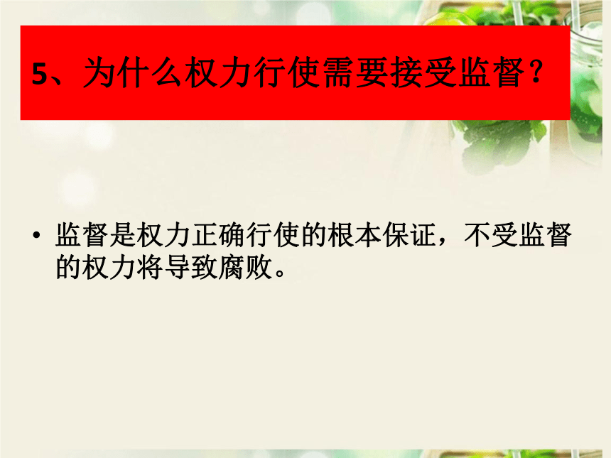 第二课保障宪法的实施   复习课件   (30张PPT)