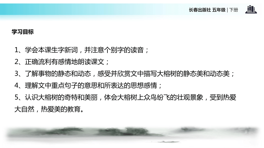 鸟的天堂课件 (共17张PPT)