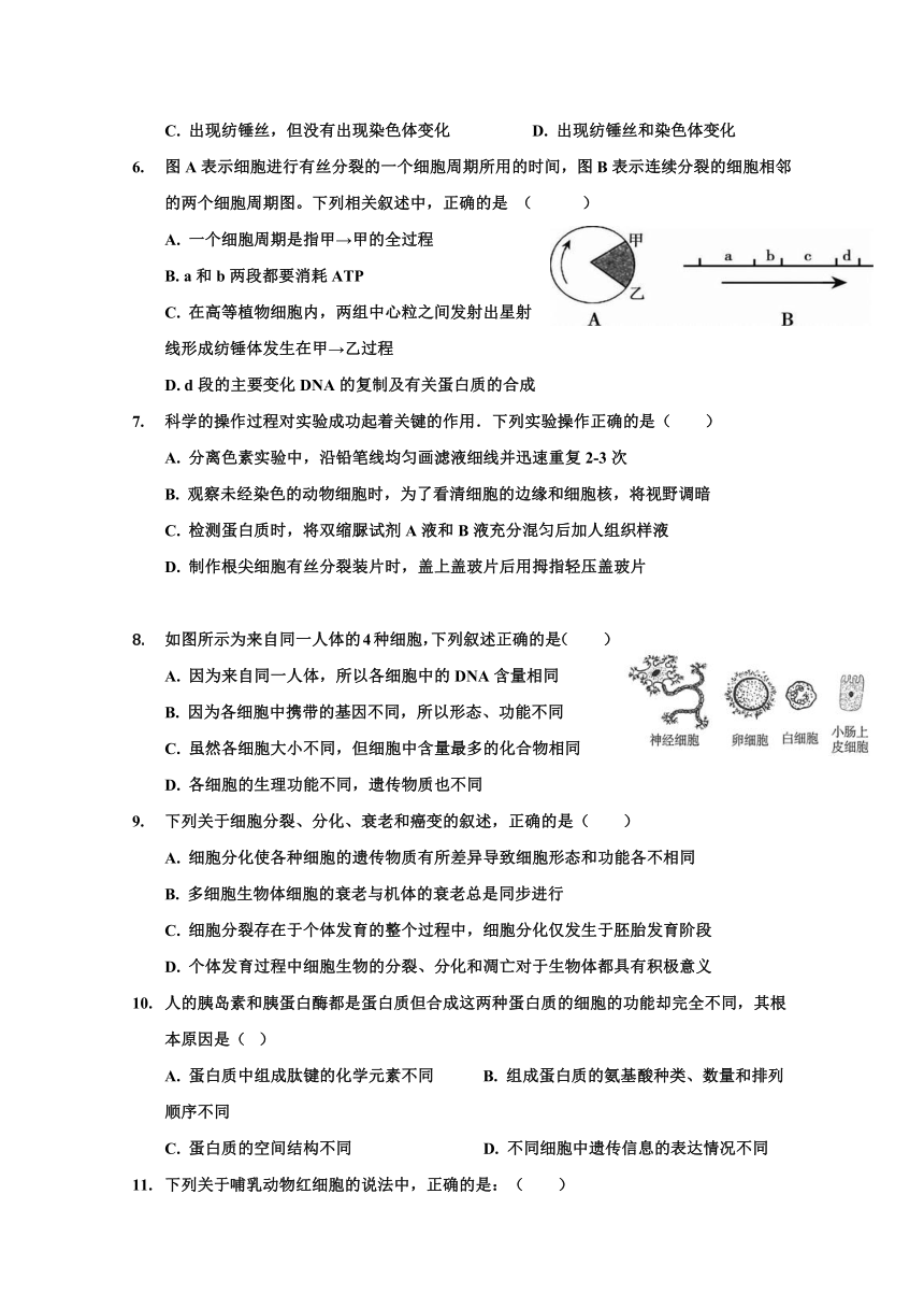 四川省广安第二中学校2017-2018学年高一下学期第一次月考生物试题