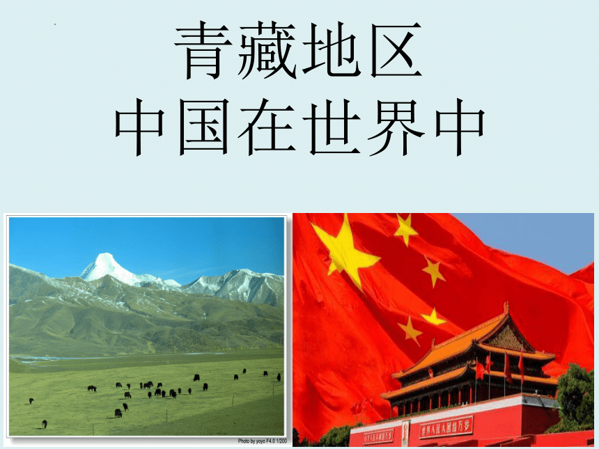 中=中国执行信息公开网