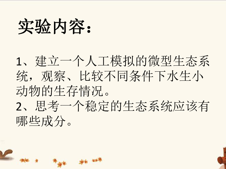 5.3 生态系统的稳定性——探究某一因子改变对生态瓶的影响 课件(共12张PPT)