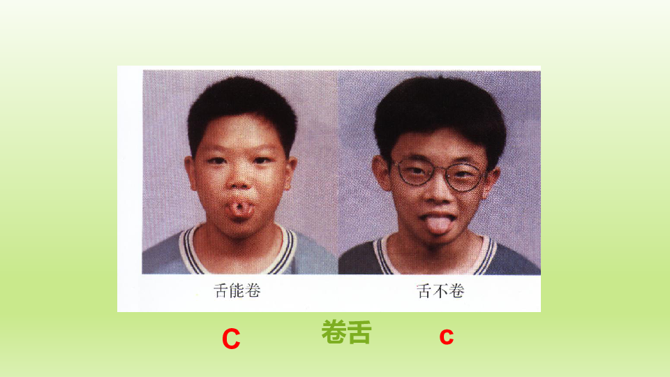 北京版八年级生物上册：11.1 生 物的性状表现  课件（共25张PPT）
